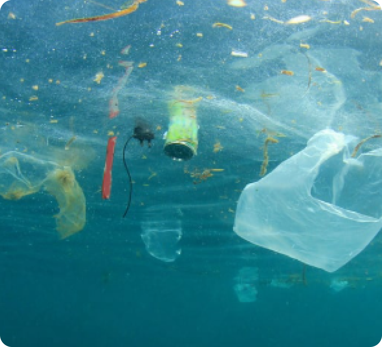 Emerging contaminants in water