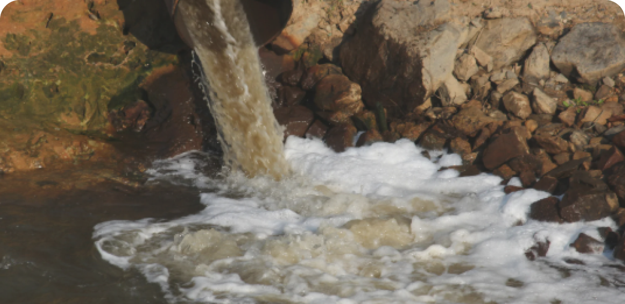 Man-made pollutants in water